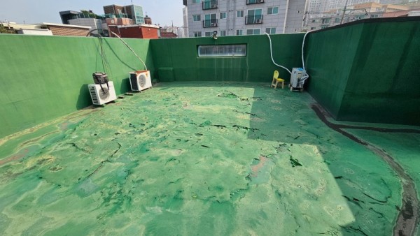KakaoTalk_20250630_164902024.jpg